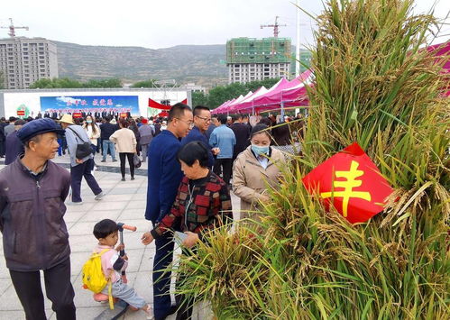 武山县庆祝2021年中国农民丰收节活动启动