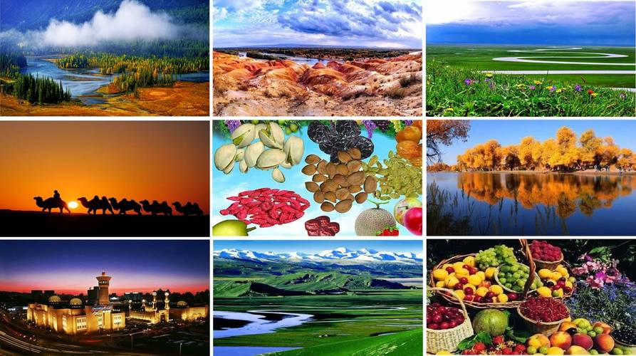 新疆农产品为何能享誉全国_农作物_内地_的生产
