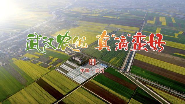 武汉优质农产品亮相央视吹响区域公用品牌创建新号角